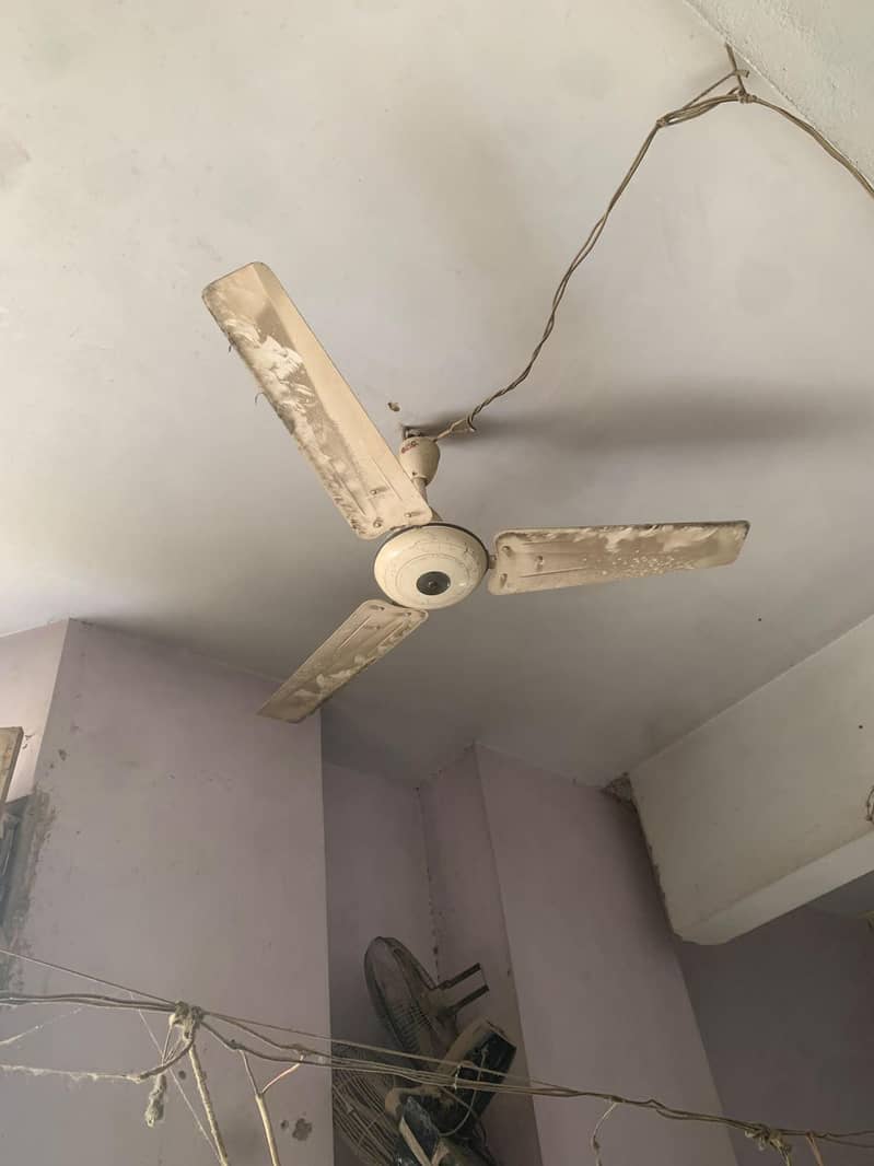Ceiling Fan 2