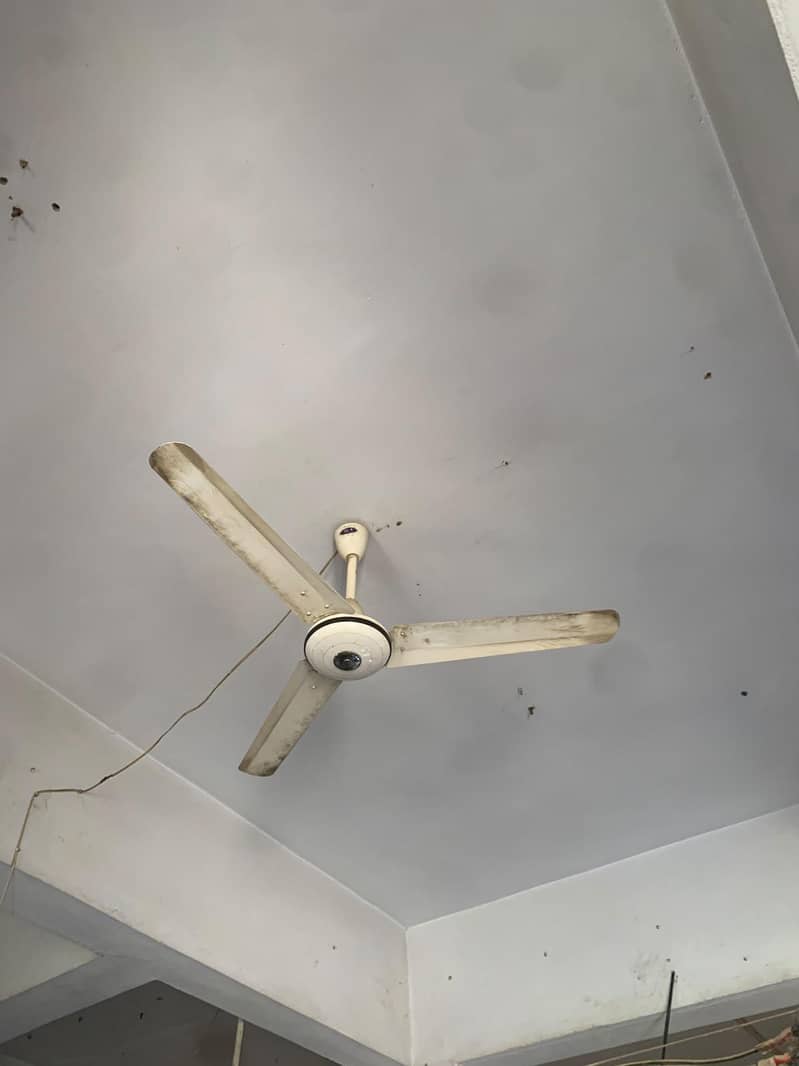 Ceiling Fan 4