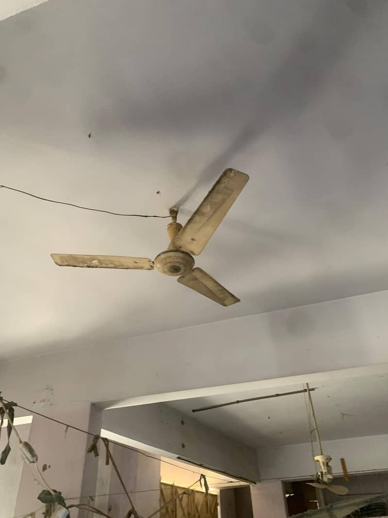 Ceiling Fan 5