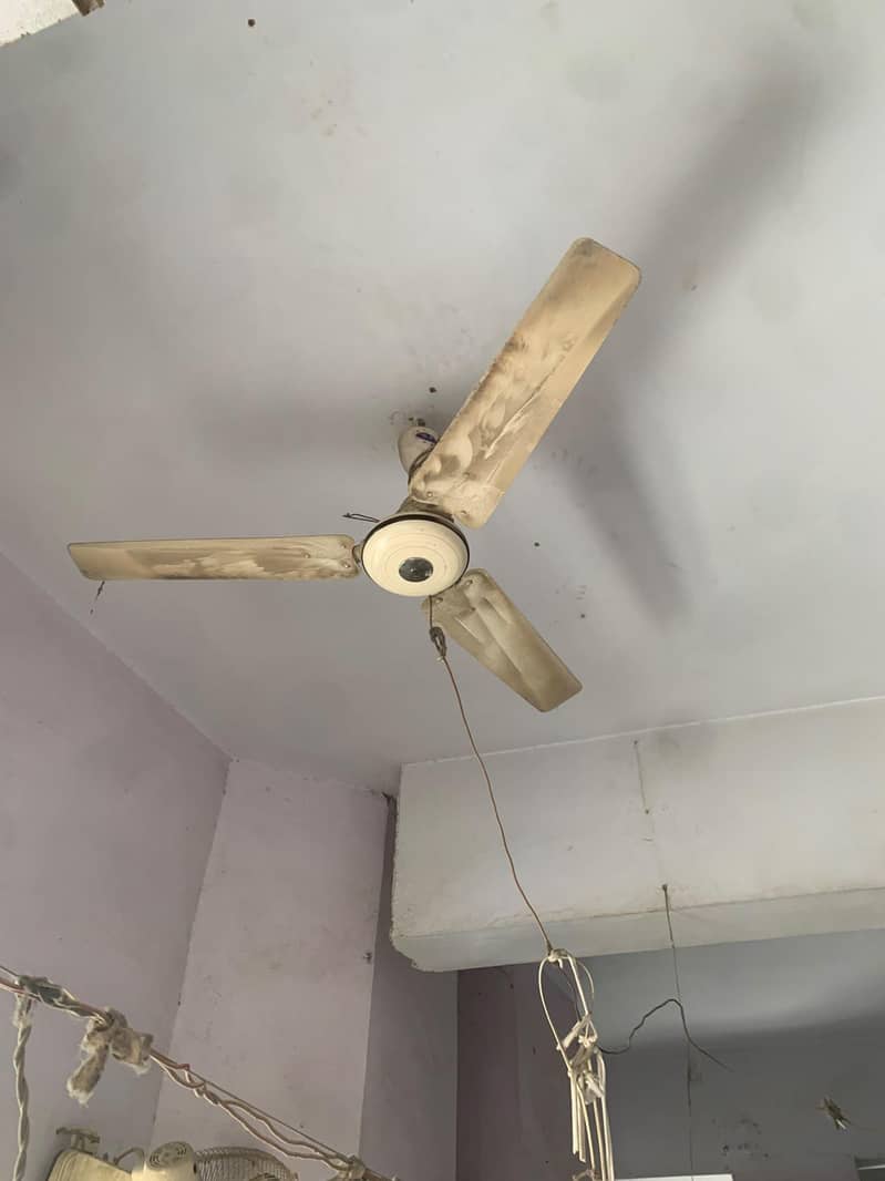 Ceiling Fan 6