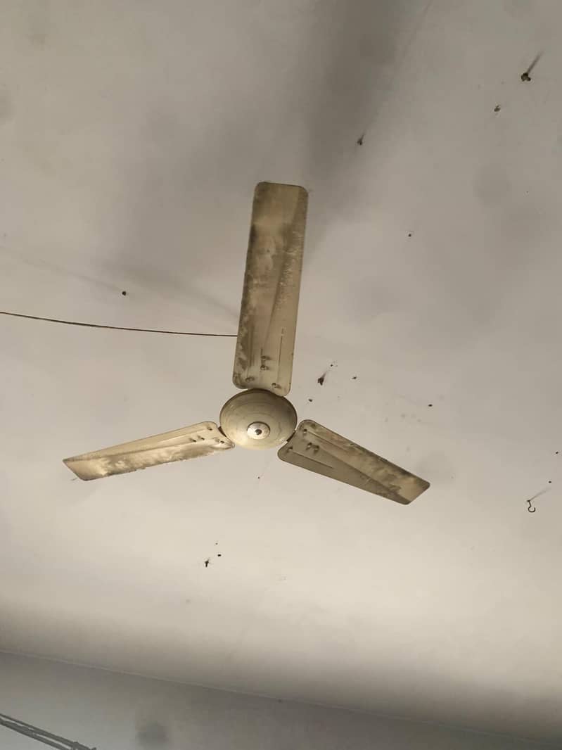 Ceiling Fan 7