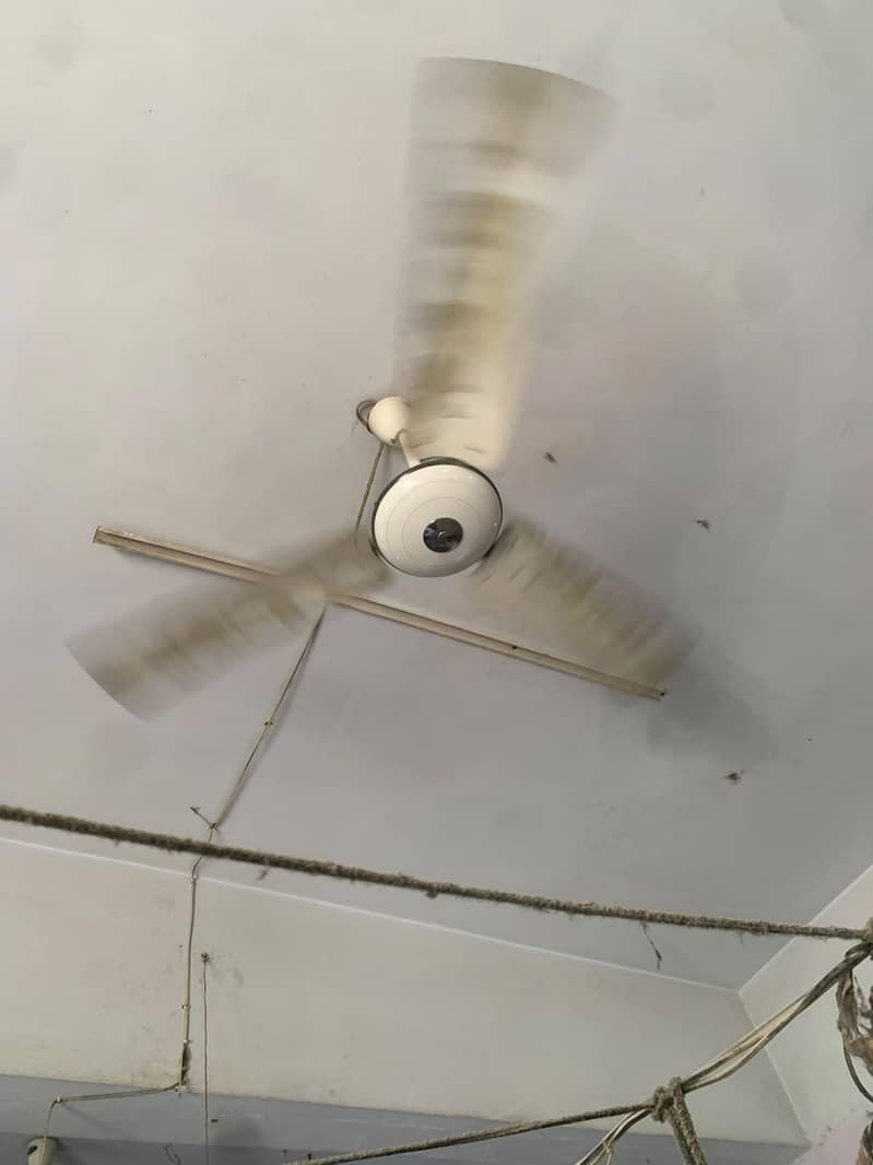 Ceiling Fan 8