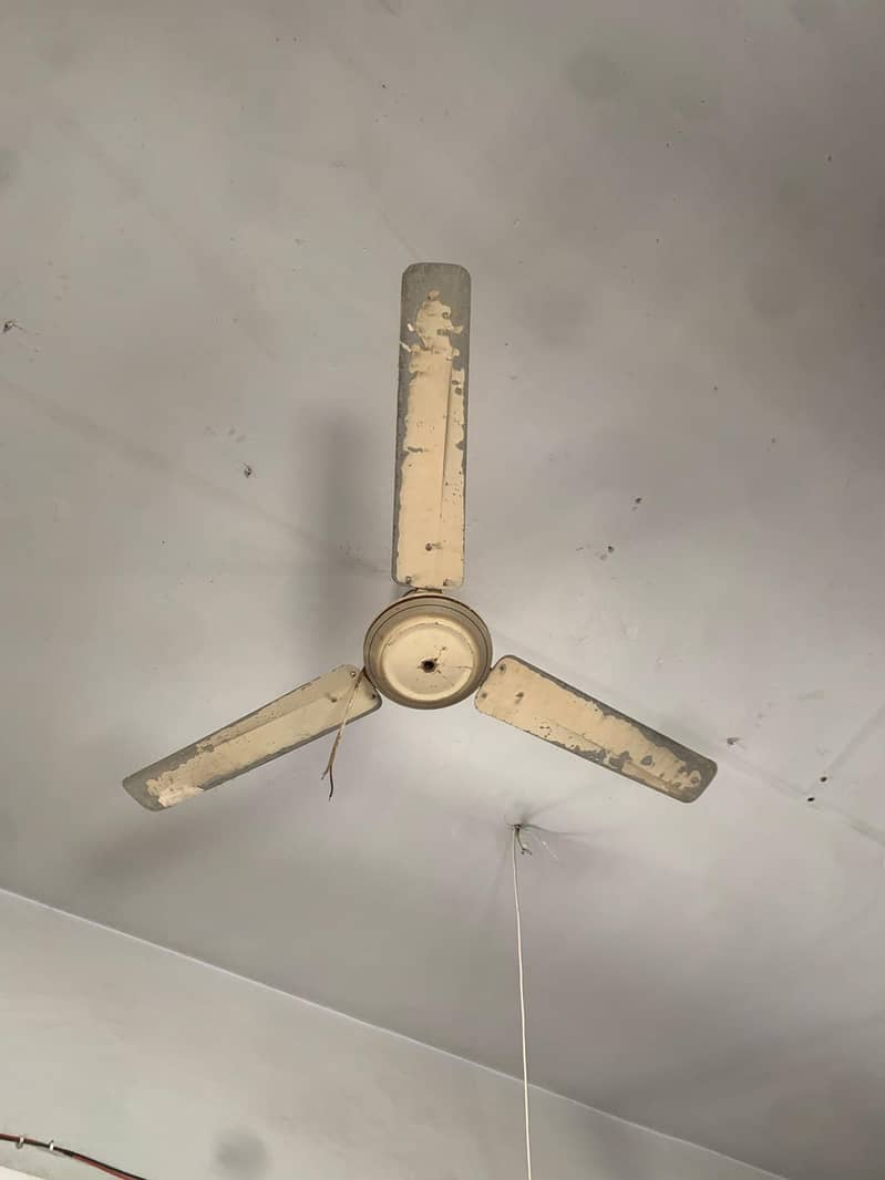 Ceiling Fan 9