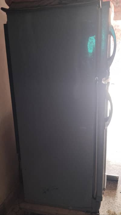 Pell Fridge