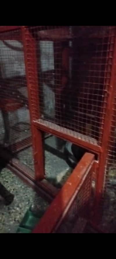 metal cage 52kg weight