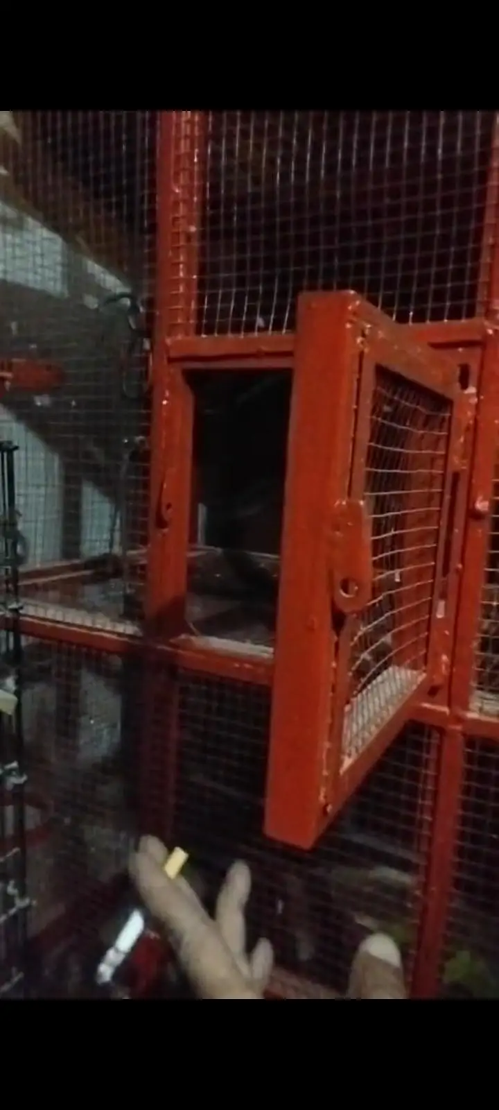 metal cage 52kg weight — photo 2