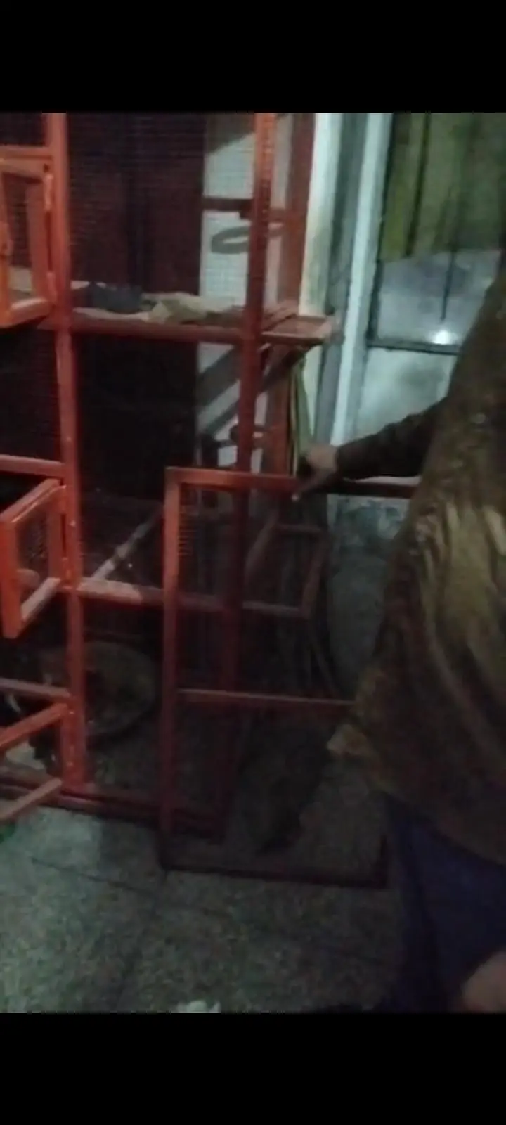 metal cage 52kg weight — photo 3