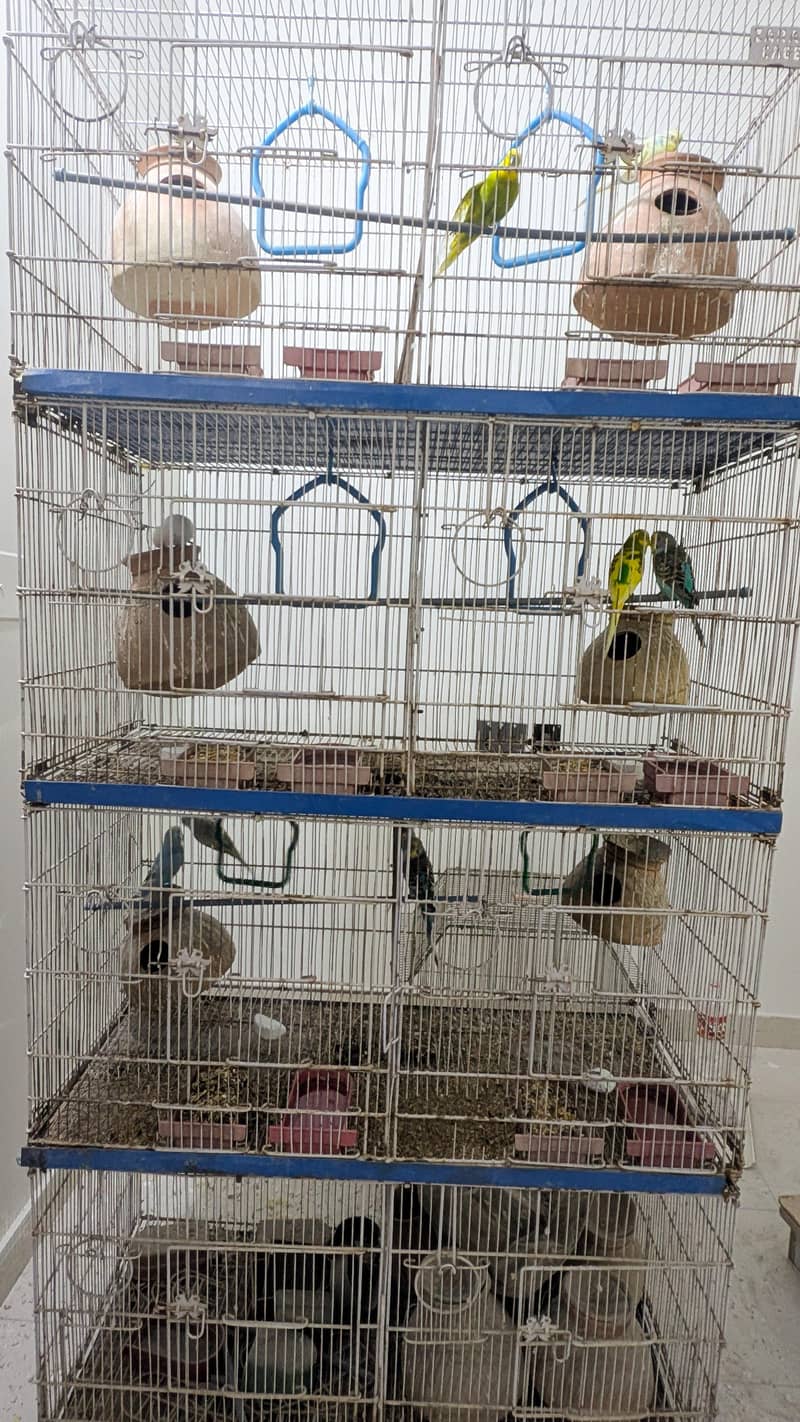 Complete Bird Cage Setup Available  1