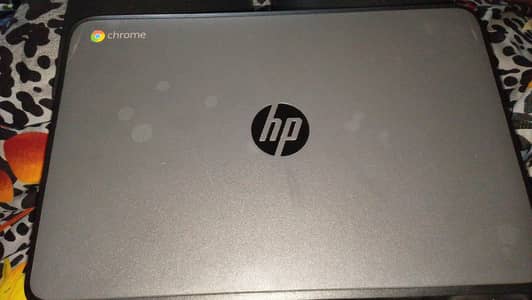 hp Chromebook