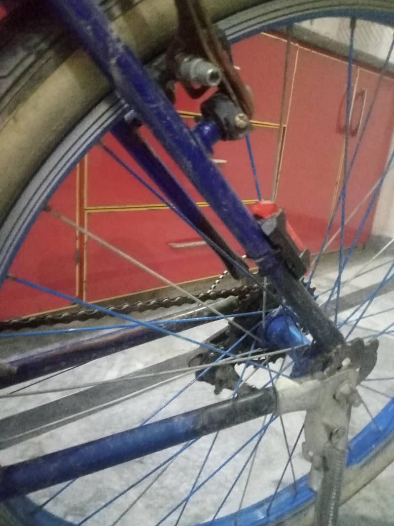 cycle 2