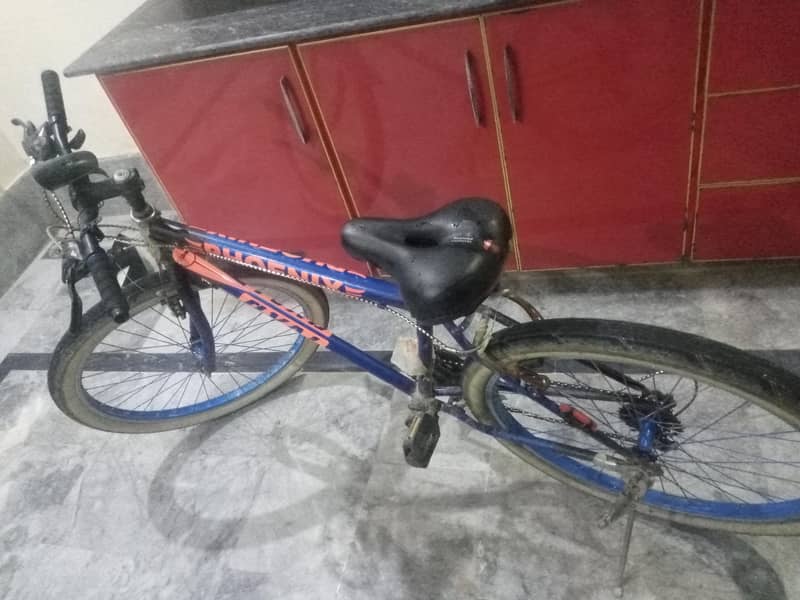 cycle 4
