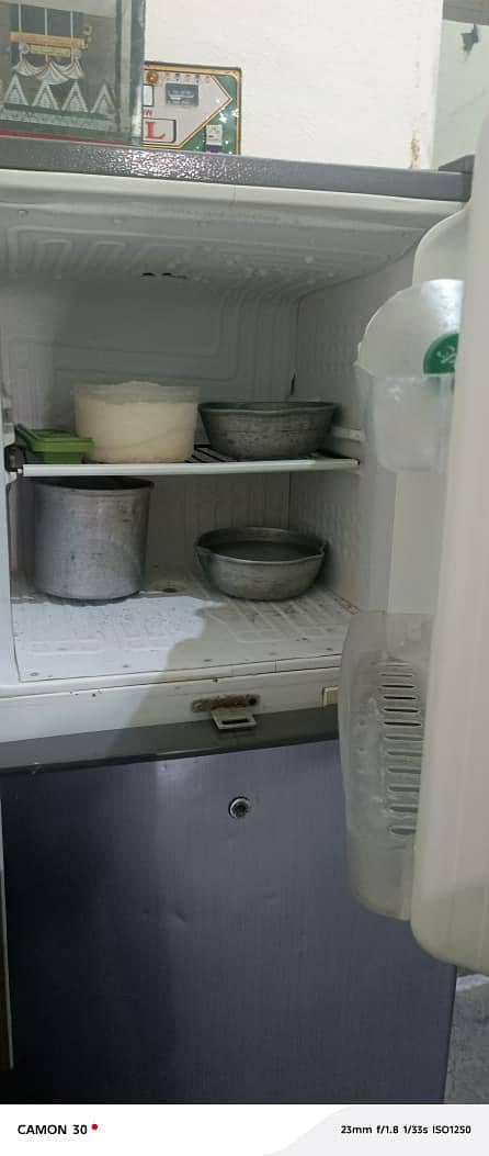 fridge 1