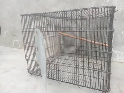 cage for sale