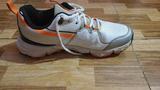 WIZAL GRIPPER SHOES MEDICATED