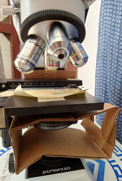 Olympus CX21 microscope lab ready