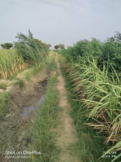 Agricultural Land Availabe for rent For poultry Farm
