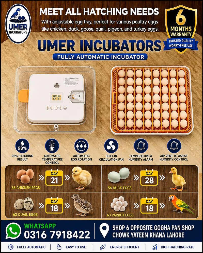 Automatic Egg Incubator | Egg Hatching Machine | Incubator | Brooder 5