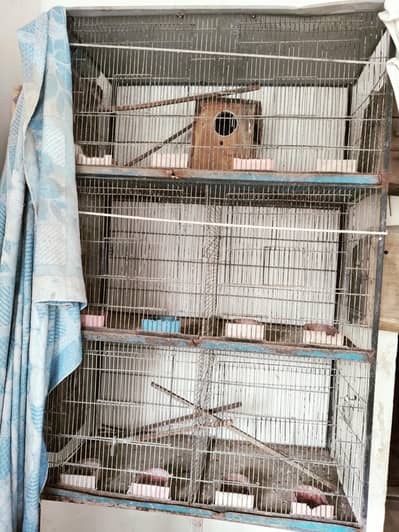 Bird Cage ( 6 khany wala)