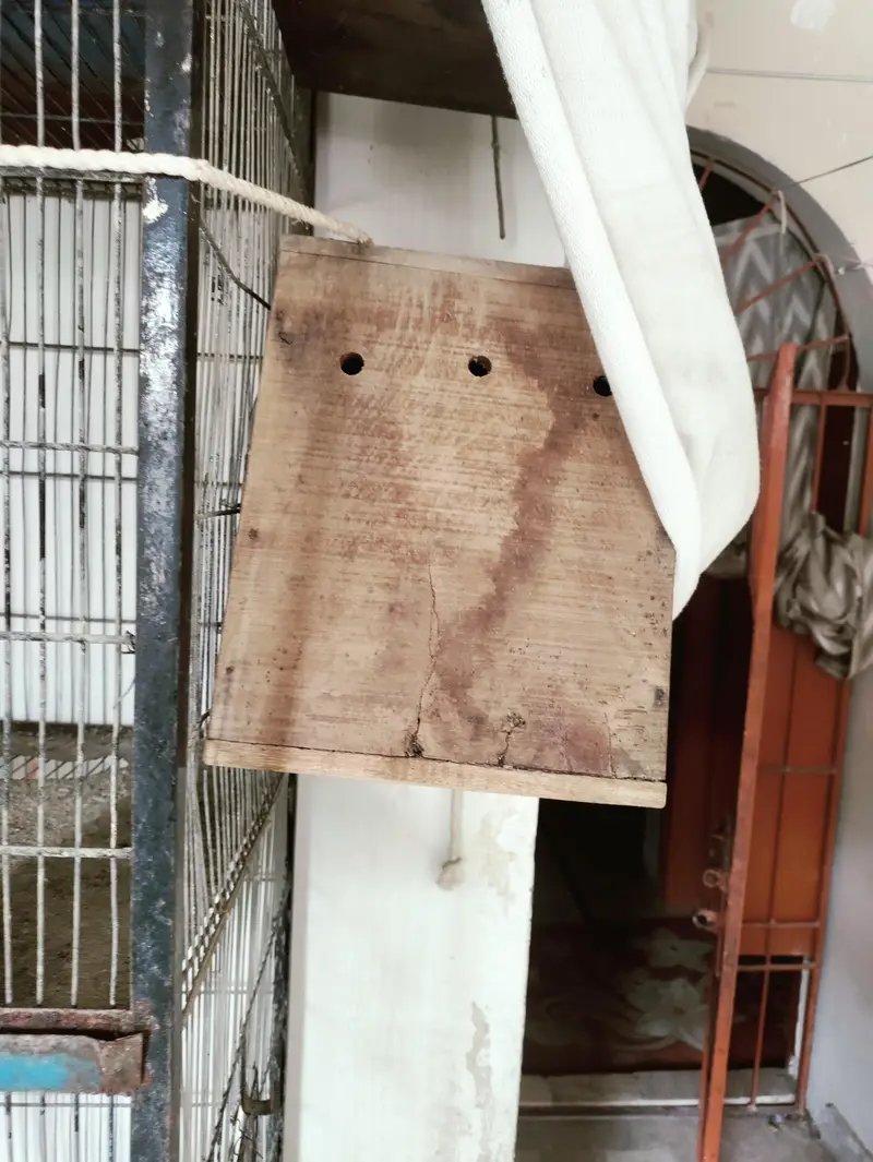 Bird Cage ( 6 khany wala) — photo 4