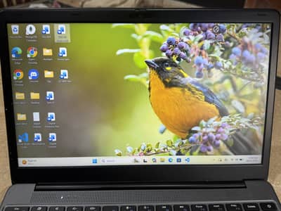 PM laptop 2026