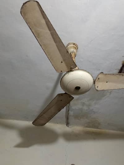 celling fan