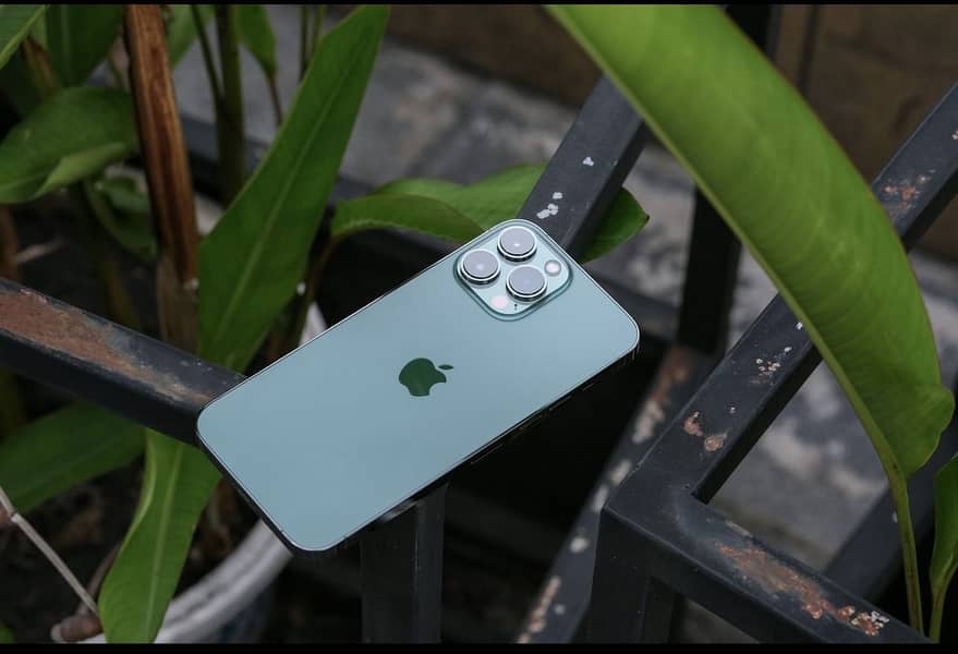 iphone 13 pro max 1