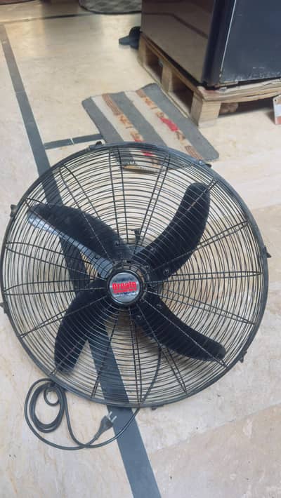 fanss
