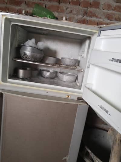 Large size Refrigerator