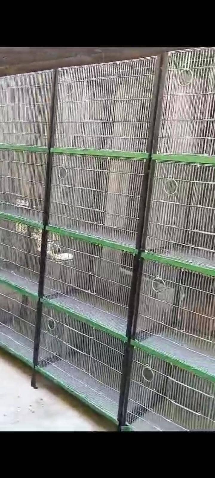 Folding Cage 1