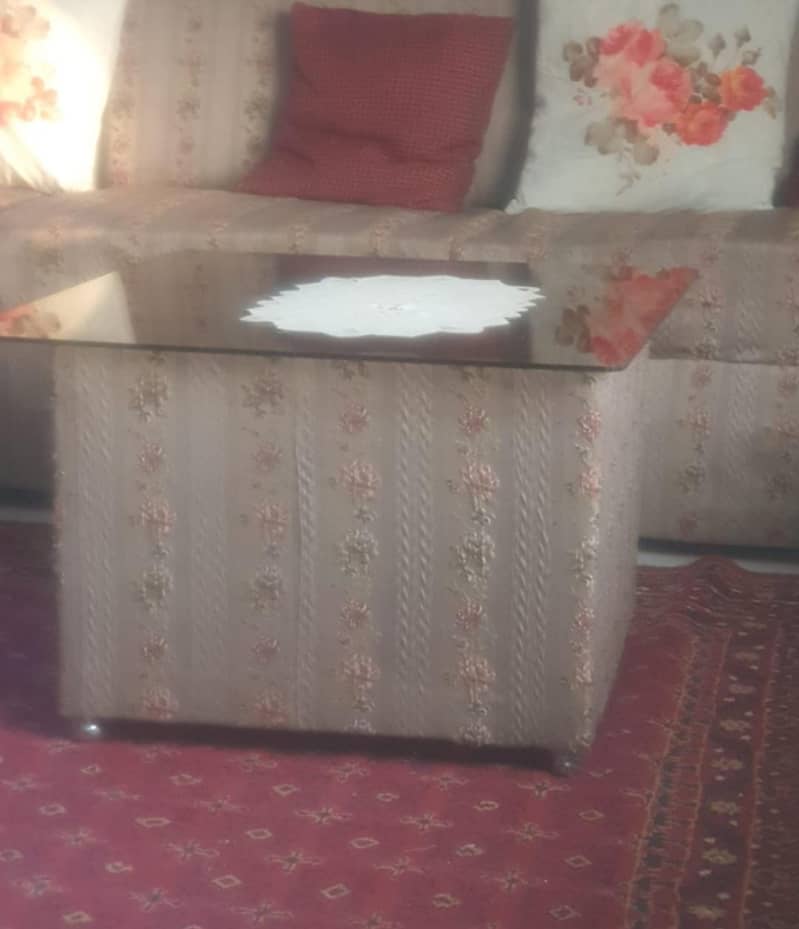 L shape sofa 4