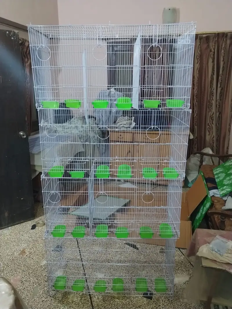 12 portion Cage Birds Cage Parrot Cage — photo 5