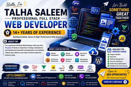 Professional Web & Mobile Application Development