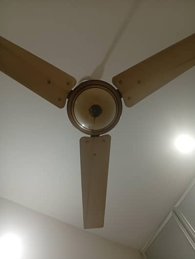 5# ceiling fan 56'