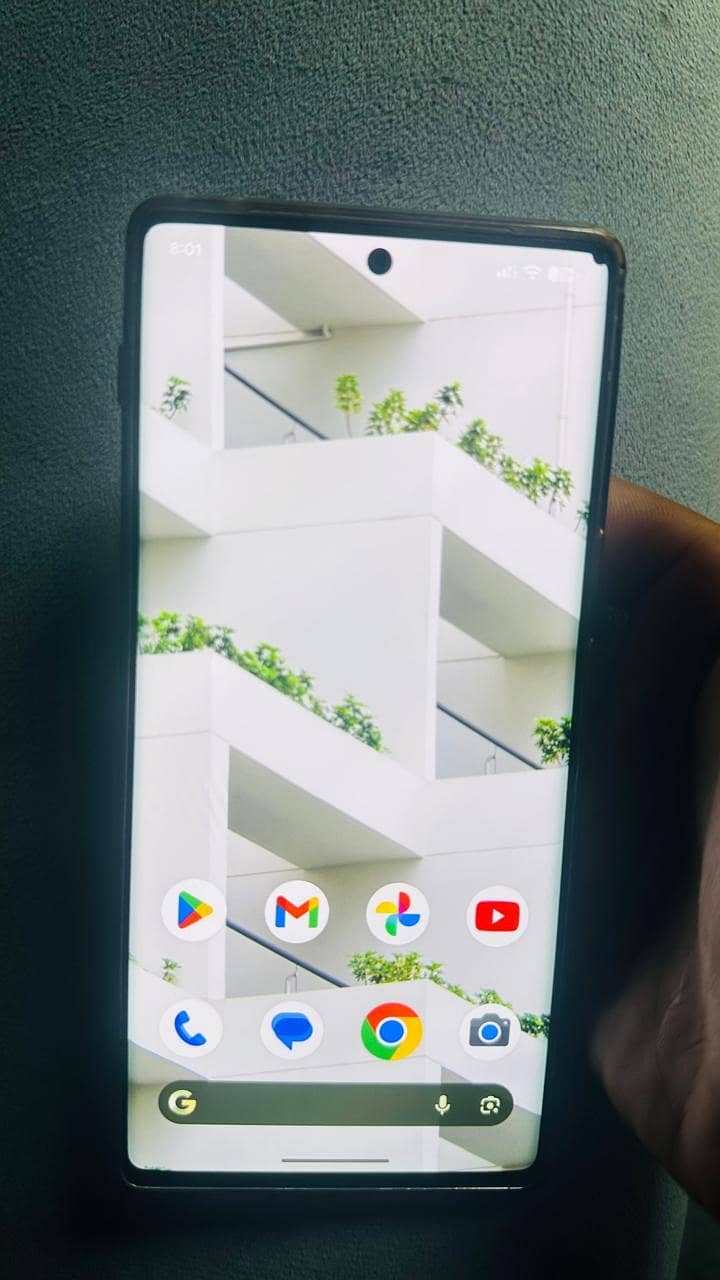 Google Pixel 6 Pro 1