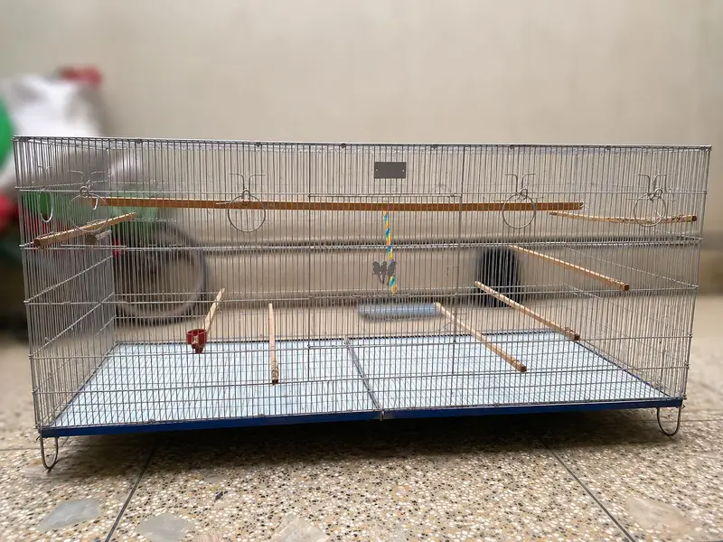  Premium Folding Colony Cage – 13 Box Options | 5×2×2 Size — photo 2