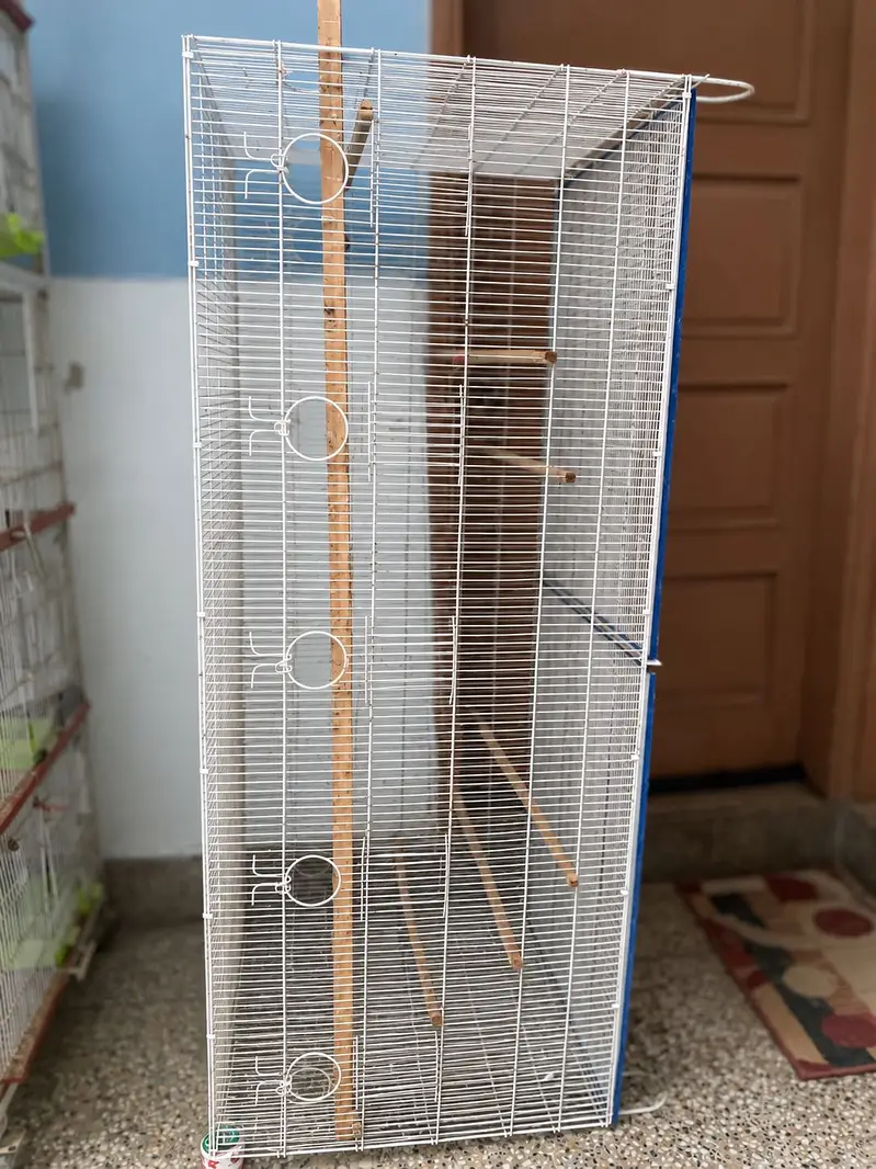  Premium Folding Colony Cage – 13 Box Options | 5×2×2 Size — photo 3