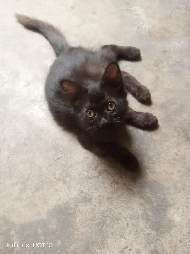 urgent sale — photo 3
