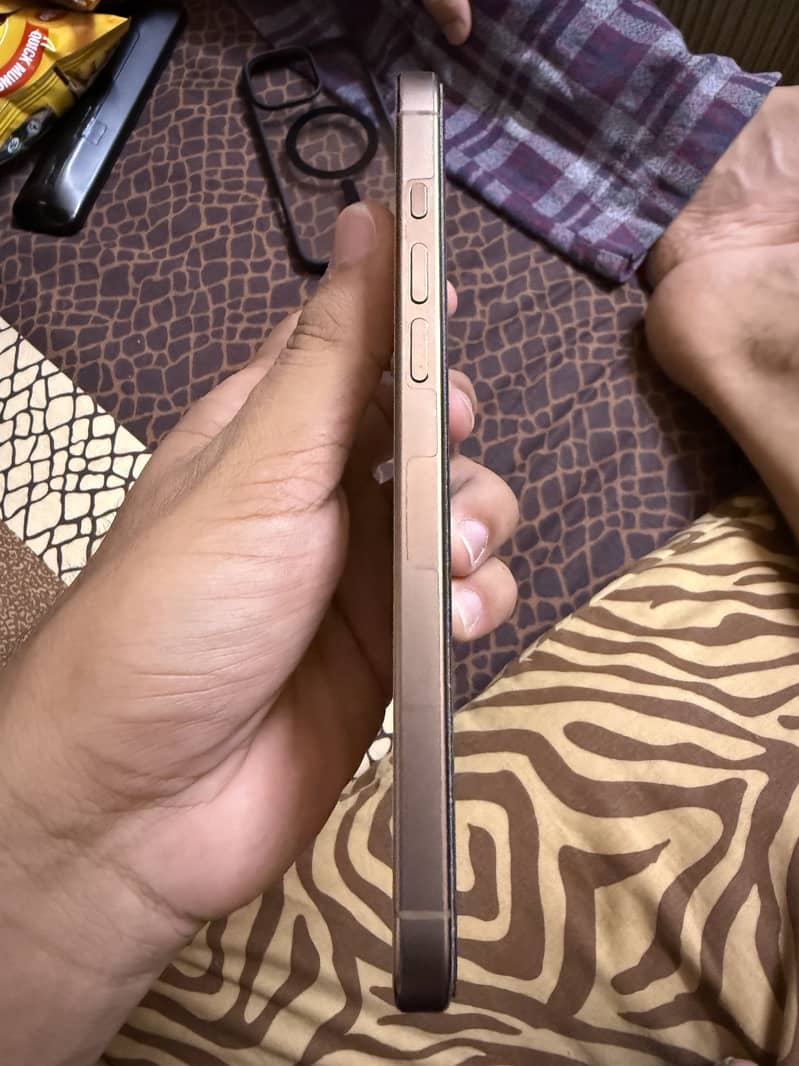 Apple iPhone 16 Pro Max 2