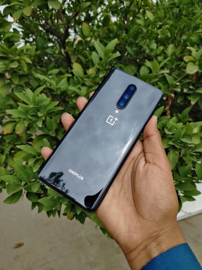 One Plus 8 Dual Sim PTA Approved