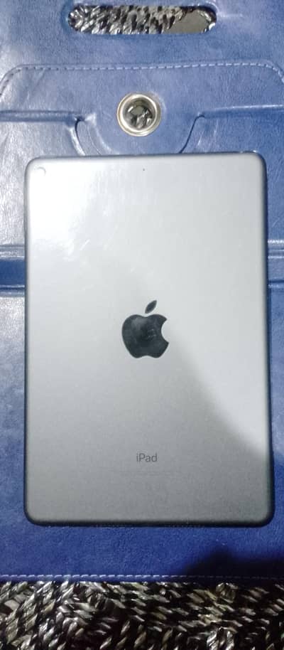 I paid mini 564 gb WiFi