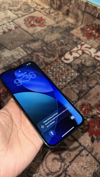 Apple iPhone 13 Pro Max