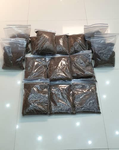 Fish And Trutle Feed