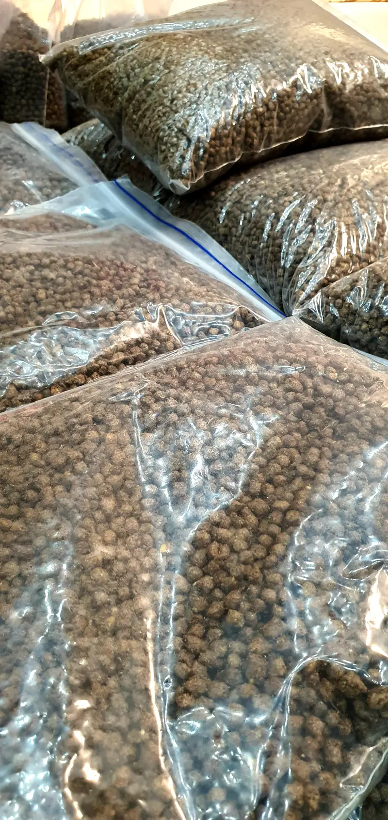 Fish And Trutle Feed — photo 2
