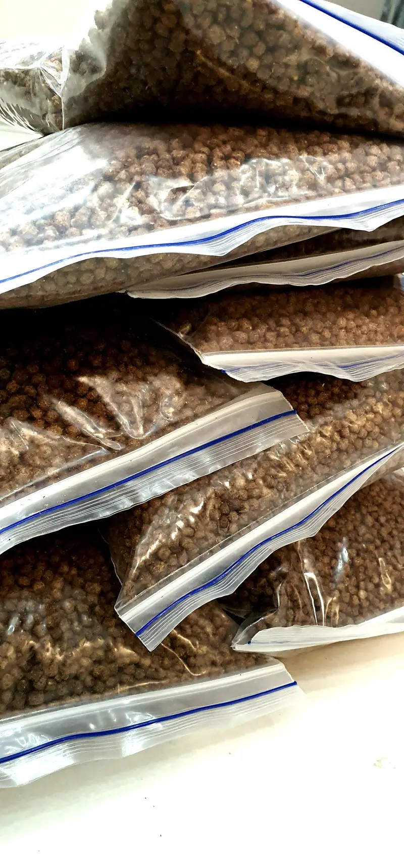 Fish And Trutle Feed — photo 5