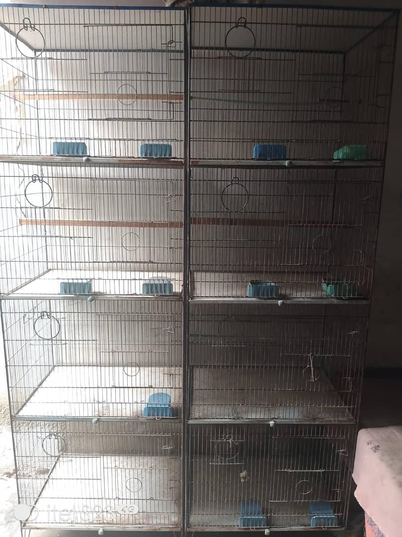 Cages 0