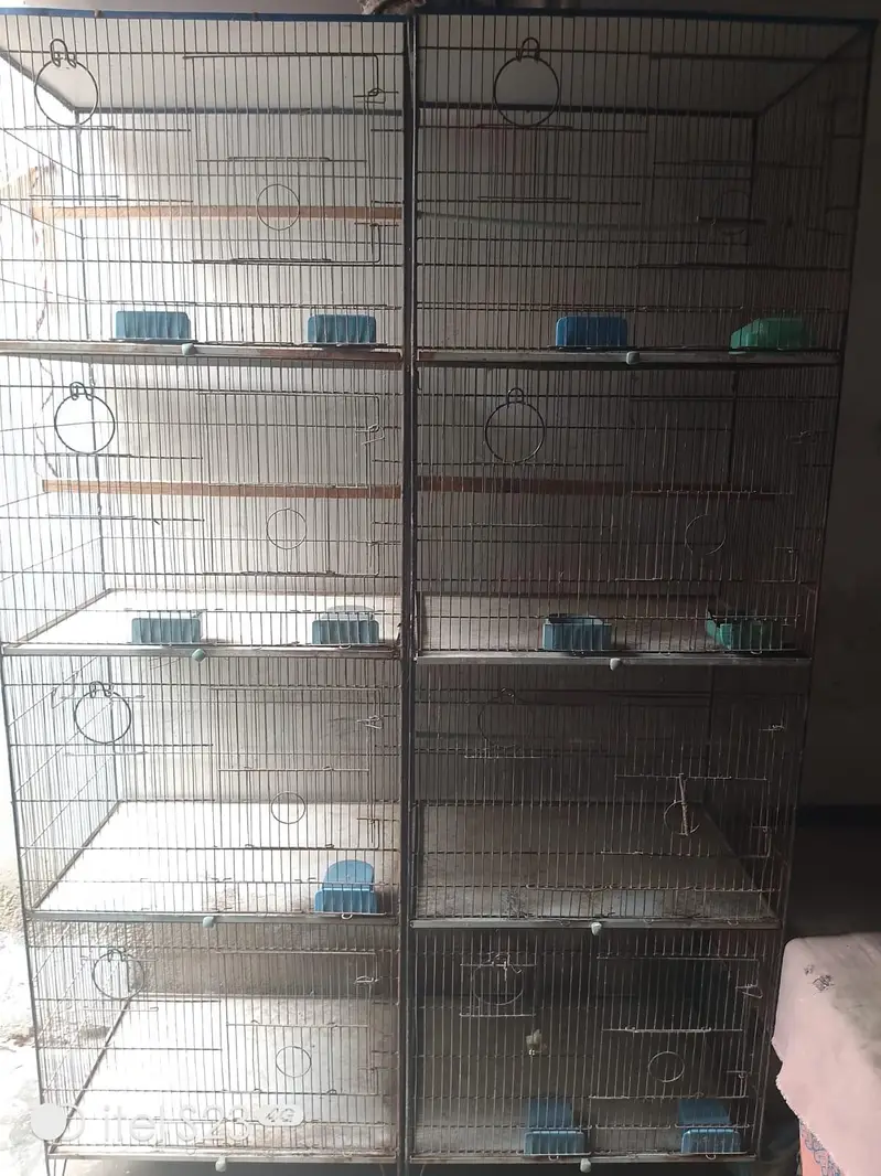 Cages