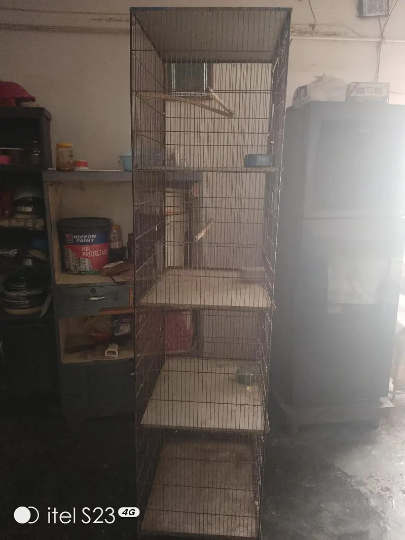 Cages — photo 2