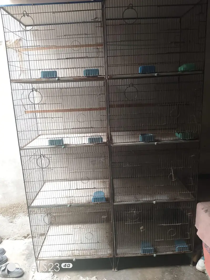 Cages — photo 3