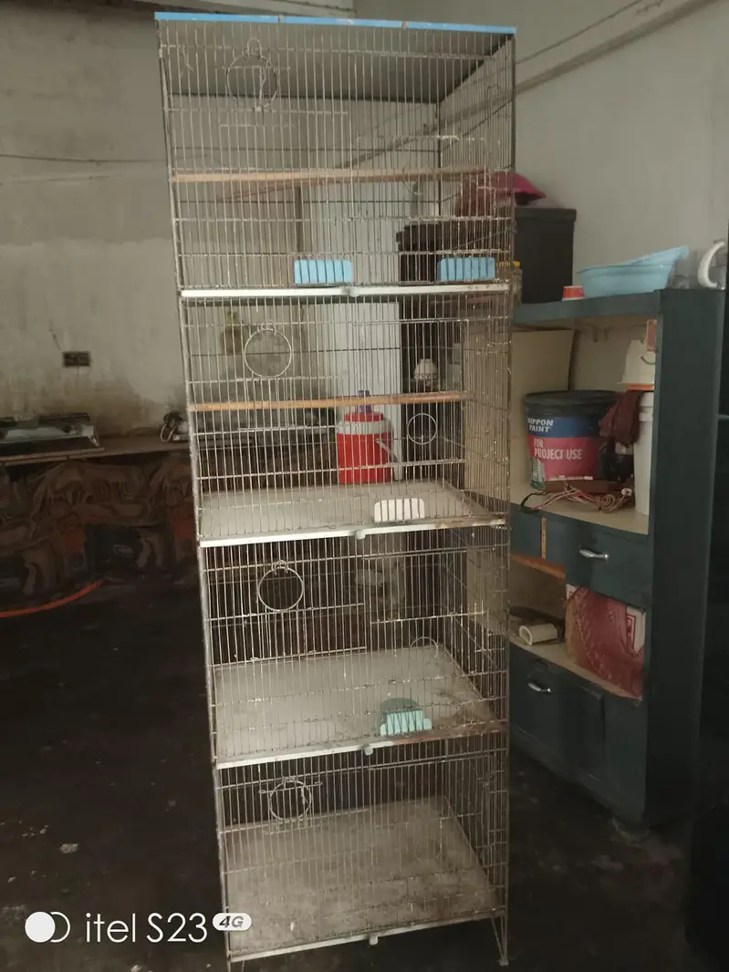 Cages — photo 4
