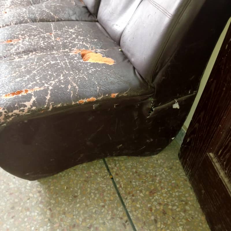 single sofa 5 adad 1
